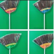 Hybrid 2 Tiger Fan Palm Fiber Broom