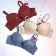 Felancy Underwire Bra 01296 - Size 36B-40B