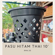 Pasu plastik hitam Thailand size 10 inch orkid tinggi