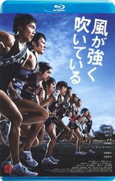 DVD💖強風吹拂 / 強風正勁 / Feel the Wind (2009)🔥電影 電視劇