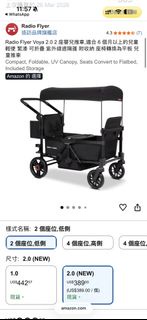 Radio flyer 雙人bb車
