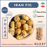 伊朗 无花果 Dried Persian Fig Iran Fig Buah Tin Buah Ara Kering Grade AA Guzzi Herbs 药材 中药 Guzzi Herbs