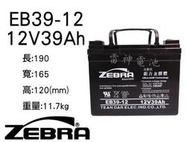 【雷神電池】台灣 ZEBRA 斑馬電池 EB39-12 12V39Ah 電動車 代步車電池