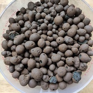 1 Liter Hydroton / Clay Pebbles / LECA (Mixed sizes)