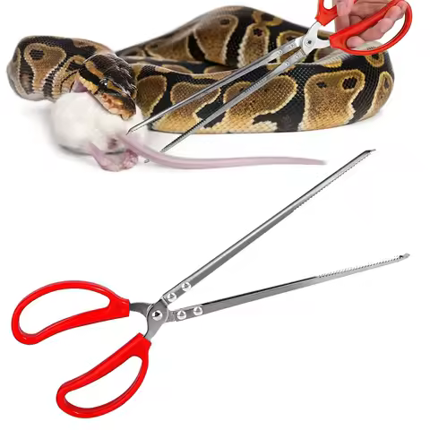 Reptile Feeding Tongs 28cm 38cm Long Tweezers Feeding Tong Clamps Reptile Tank Accessories For Pet P