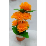 Potted Flowers 7 Marigolds