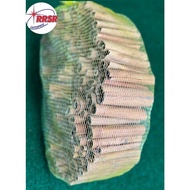 KAYU MANIS / CINNAMON
