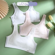 Combo of 3 women's sports bras with breathable mesh, Set of 2 thin cotton bras AMYBRA A611