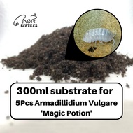[Rept Reptiles] 🔥Ready Stock🔥 300ml ISOPOD Substrate for 5x Armadillidium Vulgare 'Magic Potion' / C