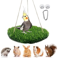 Bird Toys Hammock Swing Hanging Bed Portable Grass Pad Climbing Hanging Hammock for Reptile Bearded 