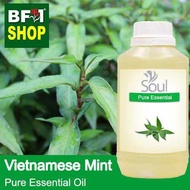 Pure Essential Oil (EO) - Mint - Vietnamese Mint ( Persicaria Odorata ) Essential Oil - 500ml