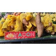 UBI YACON FRESH 1KILO