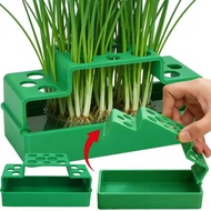 Soilless Cilantro Growing Pots - Scallion Hydroponic Planter - Garlic Seedling Case - Root Vegetable