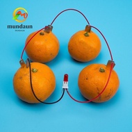MUNDAUN Fruit Battery Science Experiment Kit, STEM Experiment Kit Potato Powered Electricity Experim