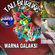 RAINBOW BIRD FOOT STRAP