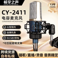 Condenser Microphone Full Microphone Metal Influencer Hot-selling Live K Song Recording Household Hi