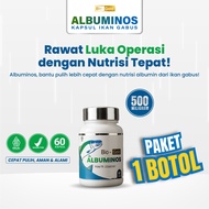 Snakehead Fish Albuminos Post-Operational Wound Medicine Channa Striata Caesarean Operation Childbir