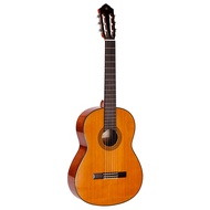 Yamaha Yamaha classical guitar CG142S CG142C single-board classical guitar travel guitar