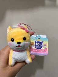 櫻花柴犬三兄弟