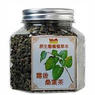 泰富盈 - 霜後桑葉茶 - 135克 (天然原生態種植)