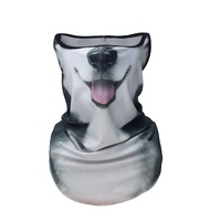 Hanging Ears Sunscreen Windproof Cycling Outdoor Rider Face Mask d Half Face Animal Face Orange Cat 