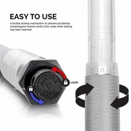 Special Spring Torque Wrench Two-Way Spanner Tools - 3/8 19-110Nm