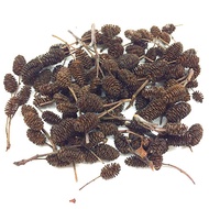 BorneoWild Alder Cones (50pcs)