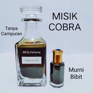 MISIK COBRA / Kobra Hitam Fancy Bouquet Cobra Murni Bibit Tanpa Campuran