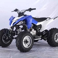 malaysia stock atv sports LEM 250cc 5 speed