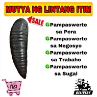 Mutya ng Linta Itim with Oracion