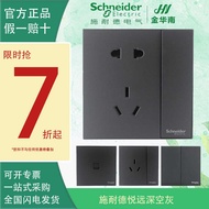 Schneider Switch Socket Yueyuan Deep Space Gray Switch Panel 16A Three-Hole Air Conditioning Plug US