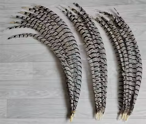 10Pc 70-100cm Natural Lady Amherst Pheasant Center Tail Feathers for Crafts,Decorative Diy Stage Per