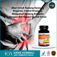 Obat Untuk Radang Kantung Empedu Infeksi Empedu Mengobati Radang Empedu Dengan Asli Kapsul Gamat Ema