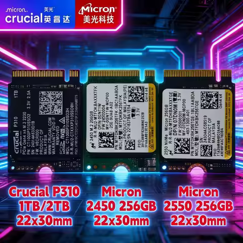 Crucial P310 1TB 2TB & Micron 2450/2550 256GB M.2 2230 NVMe PCIe 4.0x4 SSD Compatible with Steam Dec