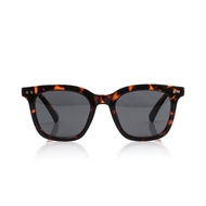 Gleen sunglasses havana