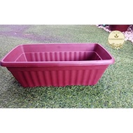 Long Planting Crimson Flower Vegetable Pot Fruit Tray Pasu Panjang