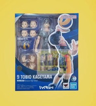 Bandai SHF Figuarts 排球少年 影山飛雄 Haikyu Tobio Kageyama
