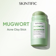 SKINTIFIC Mugwort Clay Mask Stick Mask Cleansing Clay Masker Muka Travel Friendly (40g)