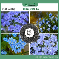 Borage Seeds - Pack of 300 Seeds - AZ Farming