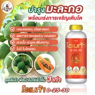 ปุ๋ยน้ำสูตรพรีเมียมสำหรับมะละกอ โอเมก้า 0-25-30 เปิดตาดอก ผลสวย บำรุงดอก บำรุงผล น้ำหนักดี ผลสวย ขนา