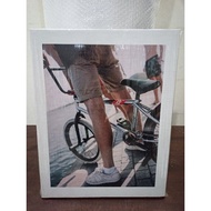 BMX Canvas Frame Wall Art