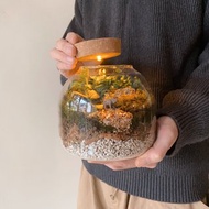 苔蘚生態瓶植栽