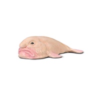 British ColltA Me You He Ocean Children Cognitive Animal Model Toy 80037 Water Drop Fish 2025