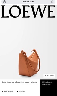 Loewe Mini Hammock Hobo 手袋