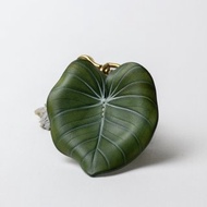 Philodendron Dean McDowell 大麥克蔓綠絨 皮革黃銅掛飾