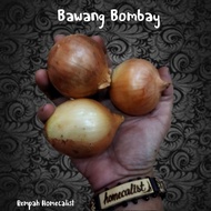 Bawang Bombay 1Kg Bawang Bombay Segar