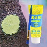 ZOOMINGJ3 Tree Wound Sealant, 100g with Brush Grafting Tree Sealer,  Smear Agent Tree Repair Plant R