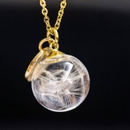 蒲公英 乾燥花 英文圓牌 玻璃球 不銹鋼防敏項鍊/ 金
