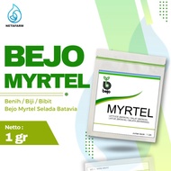 Benih / Biji / Bibit BEJO MYRTEL Selada Batavia - Kemasan 1 Gram