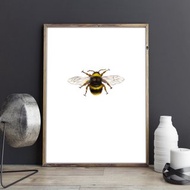 【大黃蜂】限量版複製畫 | 簡約工作室掛畫 | 蜜蜂水彩畫昆蟲世界